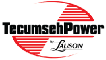 Tecumseh motoru identifikācija